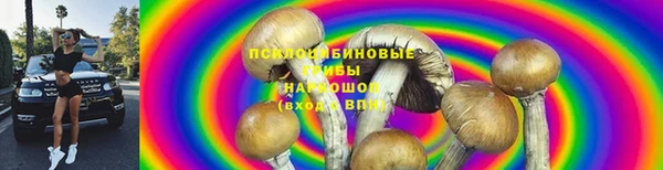 стафф Дмитриев