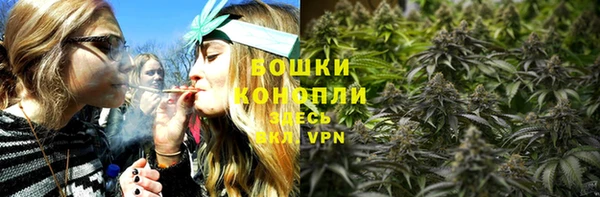 стафф Дмитриев
