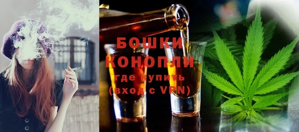 стафф Дмитриев
